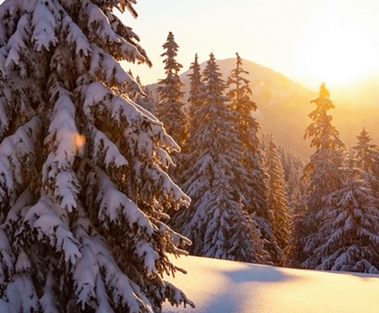 Сегодня, первый день зимы, и с каждым вздохом прохладного воздуха душа наполняется ожиданием чудесного времени – новогодних праздников.